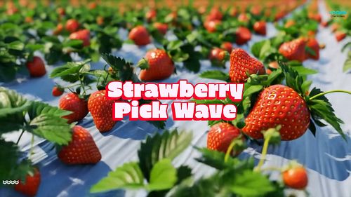 Let's make some Waves 🌊 today - 

It’s Pick Strawberries Day! 🍓
Let's pluck a wave of juicy berries. 
What's your Fave strawb...