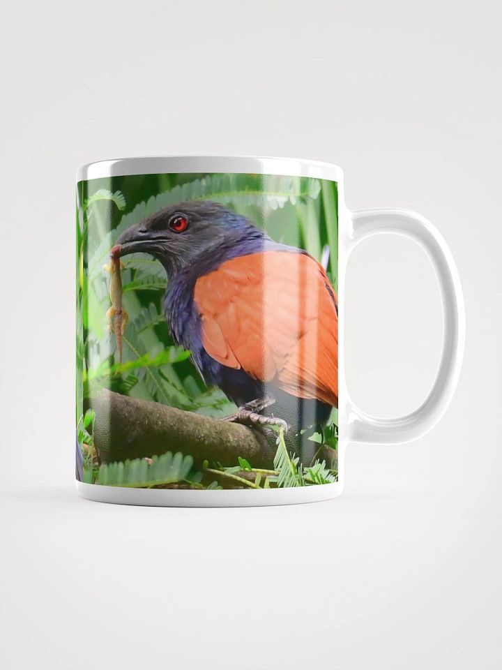 IUCAA Birds MUG product image (1)