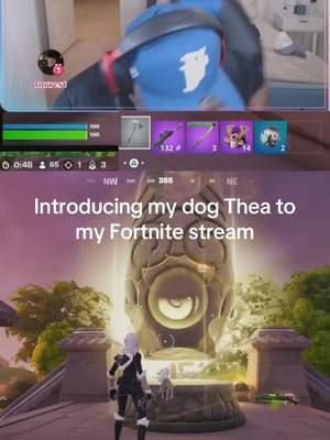 #LIVEhighlights #TikTokLIVE #LIVE my dog Thea announces herself to our Fortnite stream #gaming #fortnite #fortniteclips 