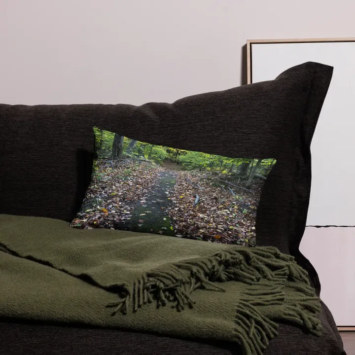 Fall Trail Pillow product image (1)