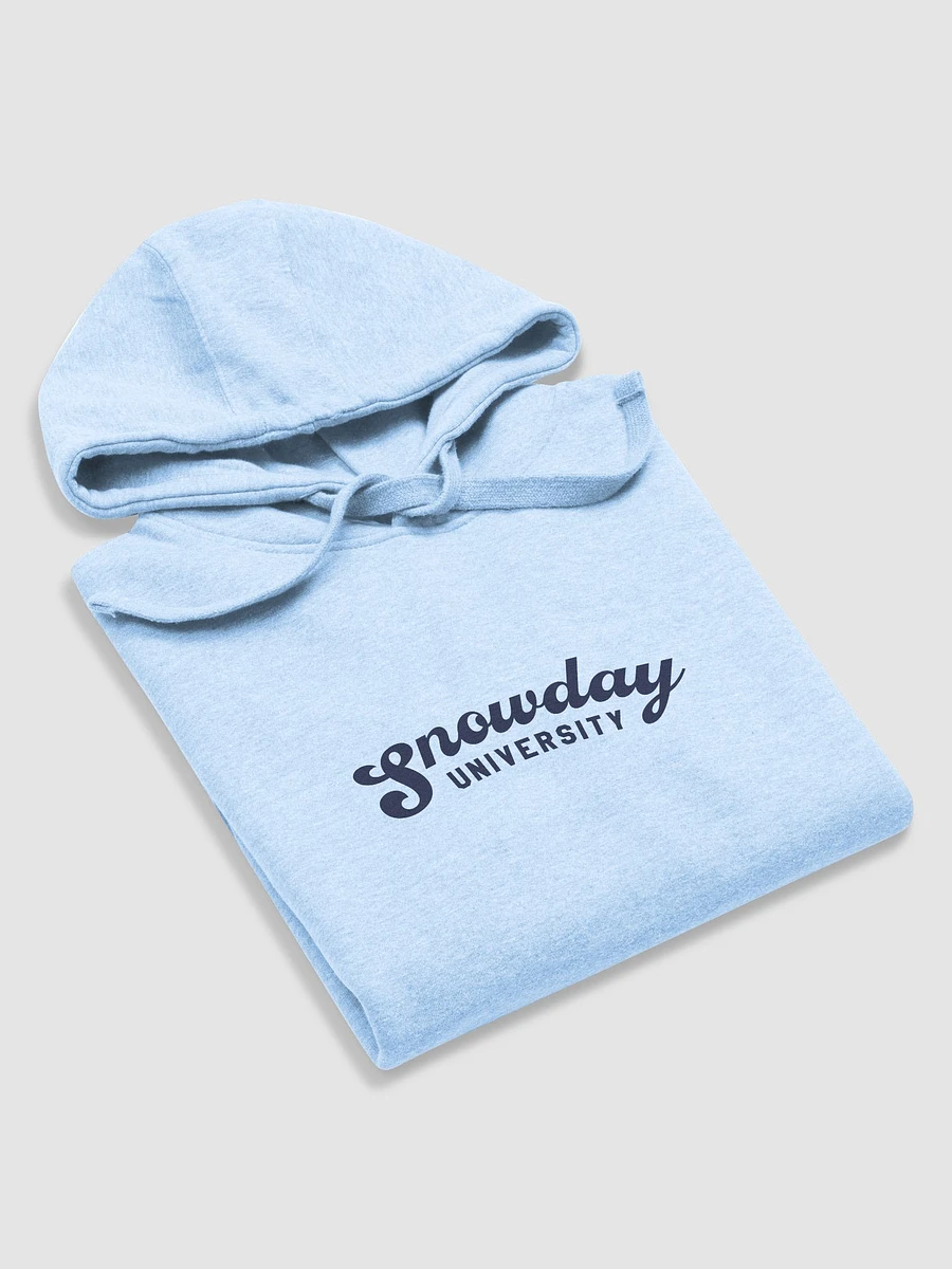 Snowday University hoodie - light blue product image (6)