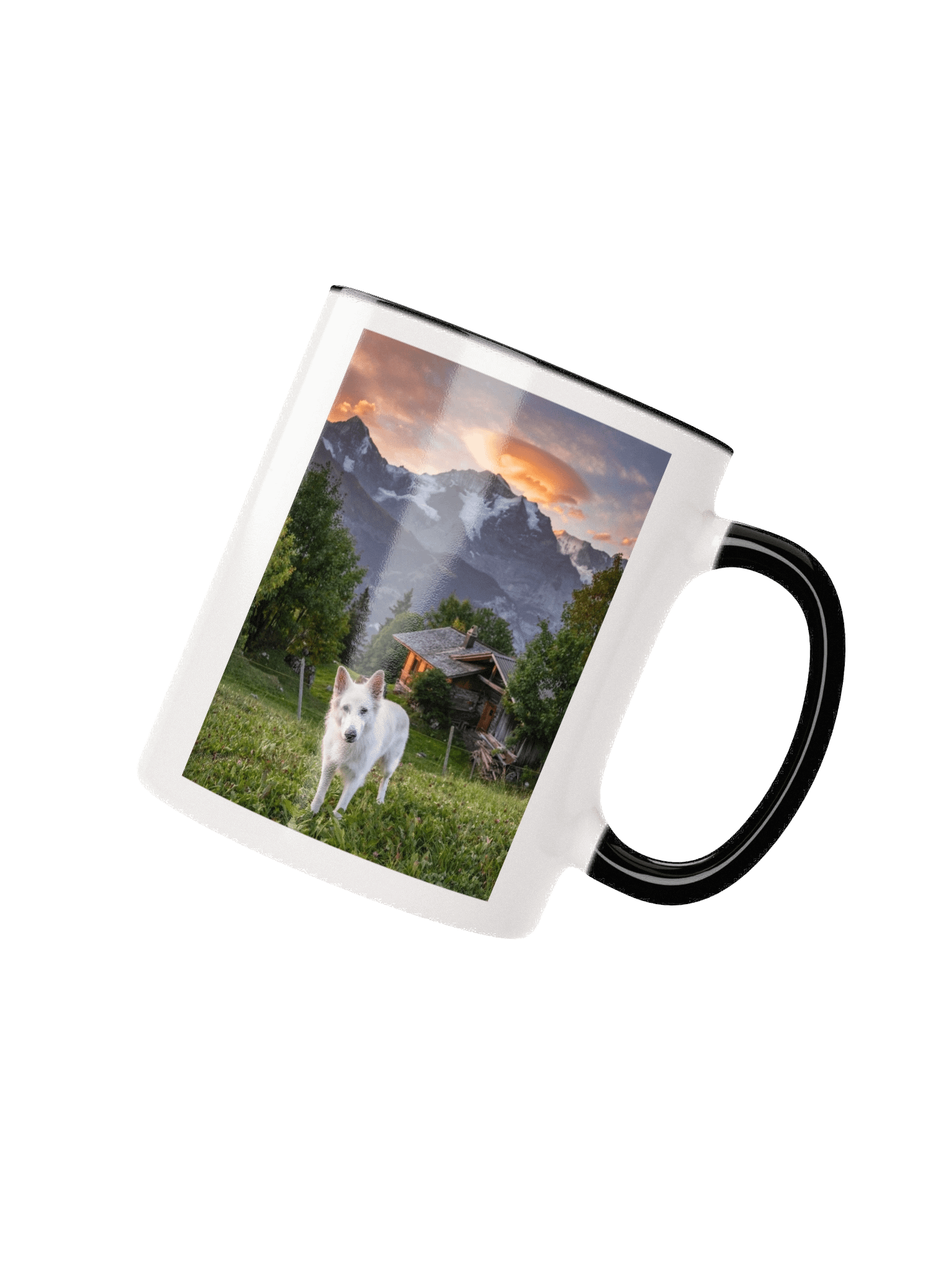 Rasta in Sulwald product image (12)