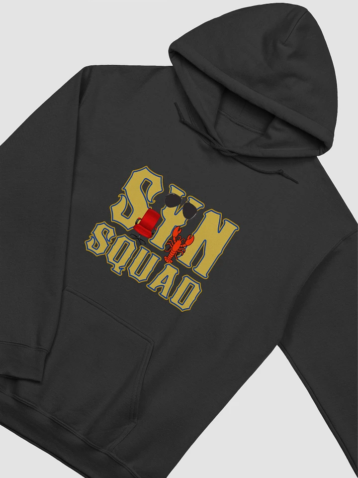 Syn Squad USAF Hoodie product image (24)