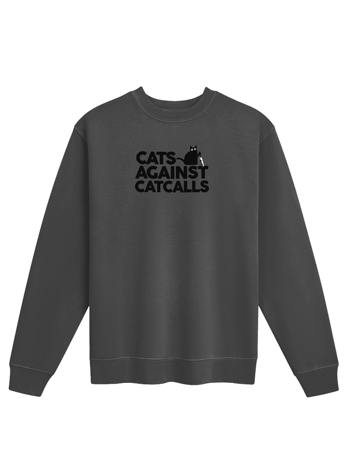 Cats Against Catcalls - Sweatshirt product image (7)