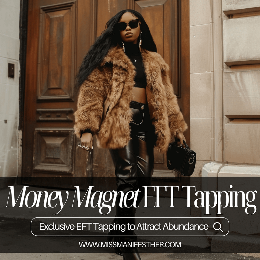 The Money Magnet Exclusive EFT Tapping product image (1)