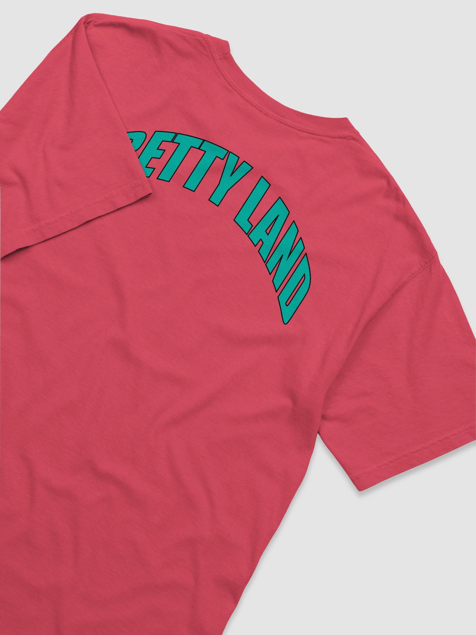 Teal "Pretty Land" Tee product image (36)