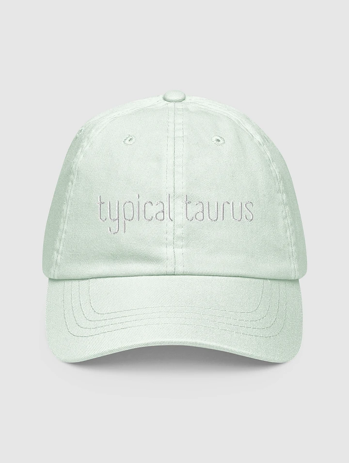Typical Taurus White on Mint Baseball Hat product image (1)