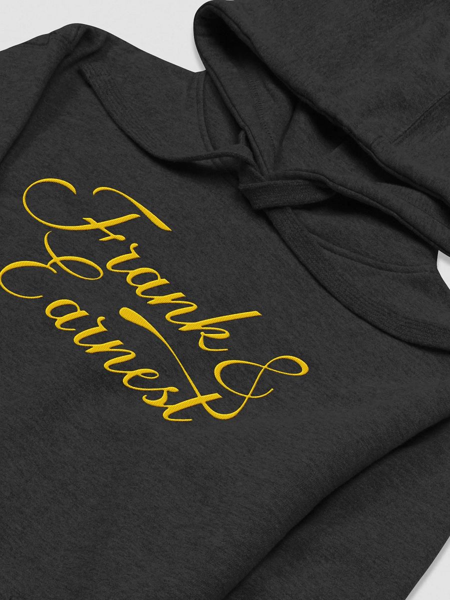 F&E Logo Embroidered Hoodie product image (21)
