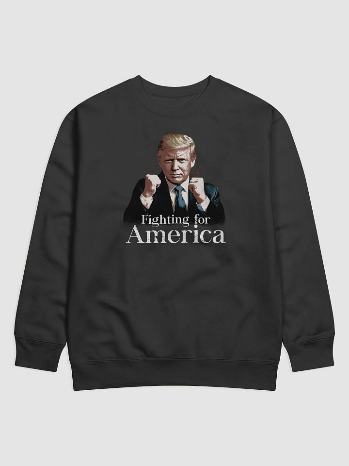 Fighting for America product image (3)