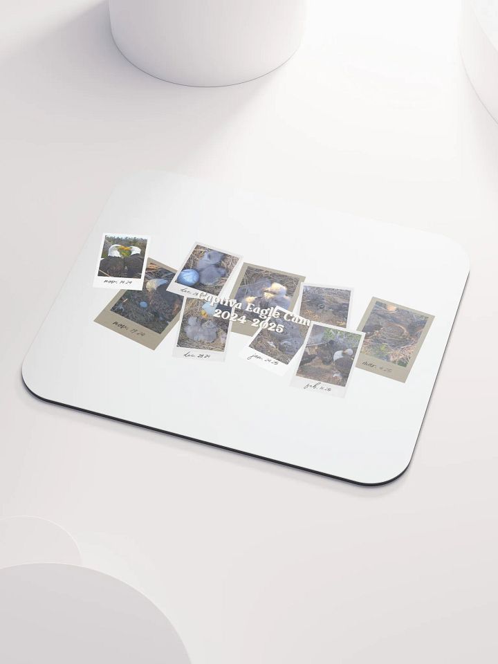Journey | Mouse Pad | Captiva Eagle Cam 2024-2025 product image (2)