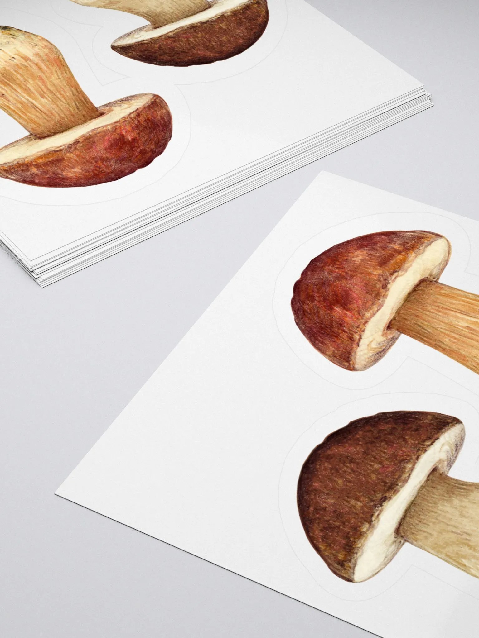 Boletus mushroom stickers product image (4)