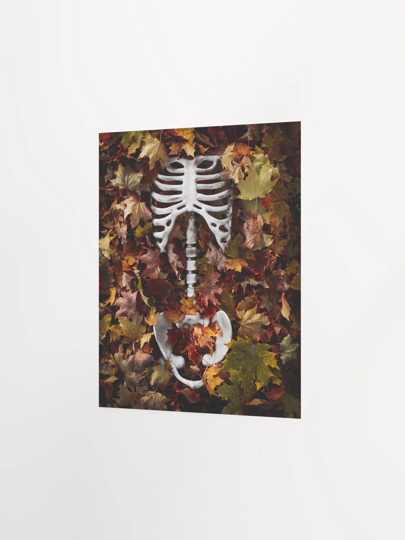 "Fall Asleep" - 8x10 Matte Print product image (3)