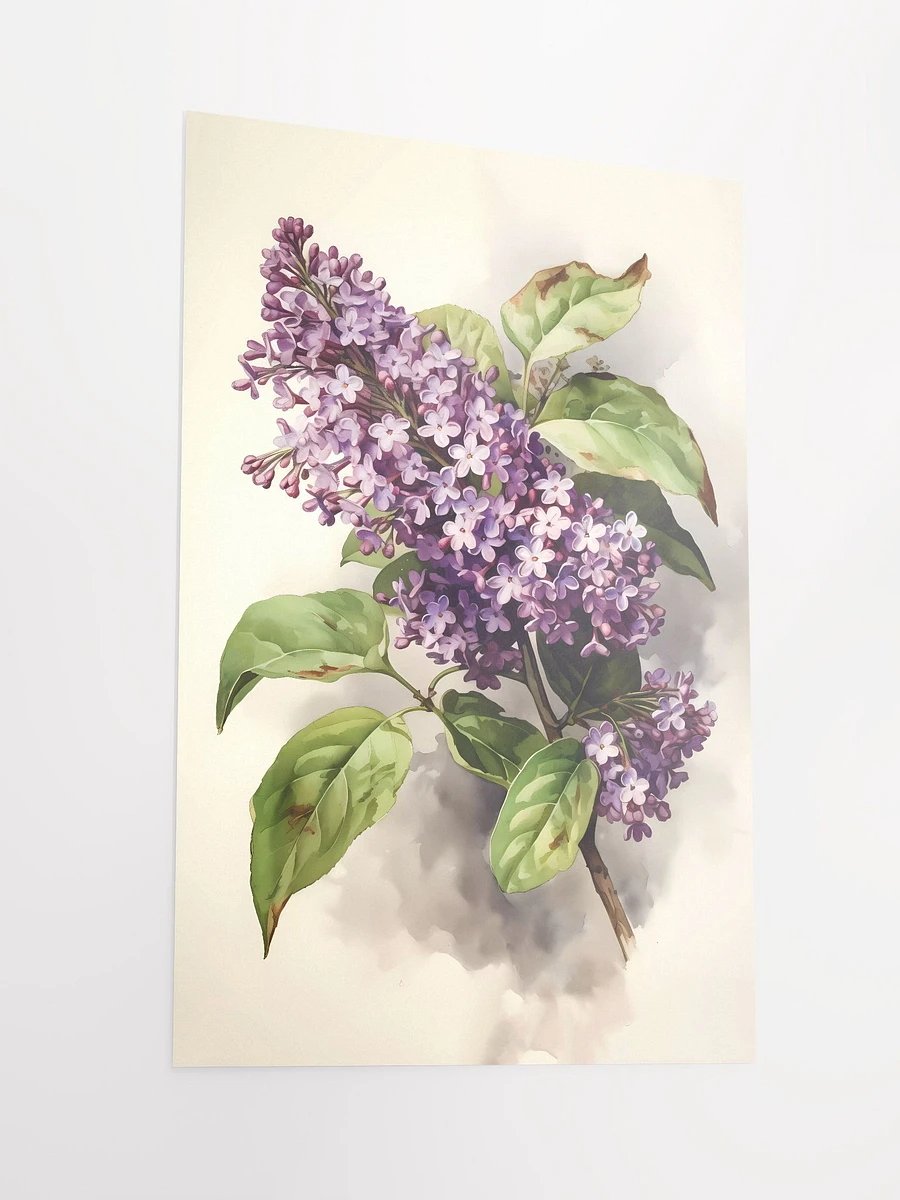 Springtime Lilac Bloom Poster: Classic Botanical Art for Nature-Inspired Decor Matte Poster product image (4)