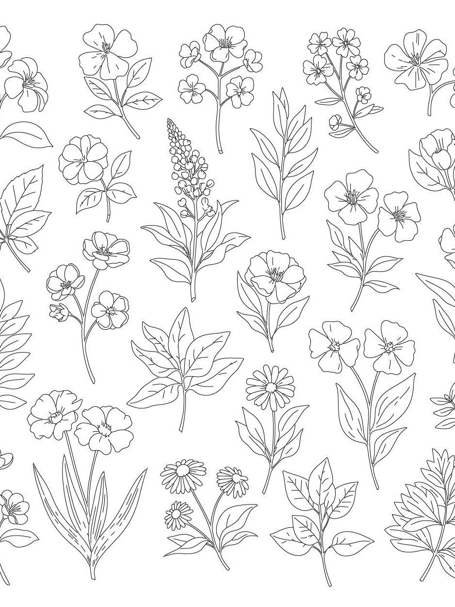 Botanical SVG Bundle: Hand-Drawn Floral Clipart & Leaf Doodles product image (8)