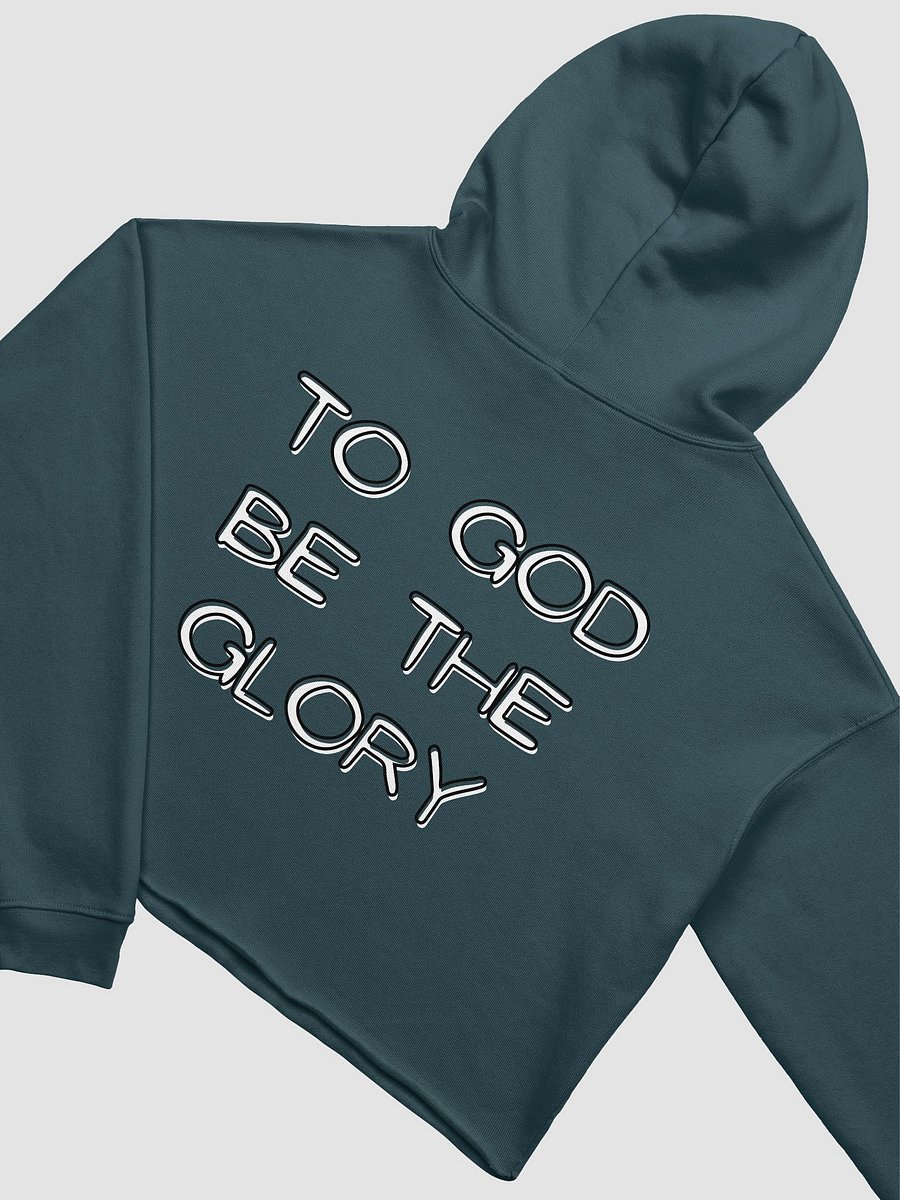 The Bridge Crop Hoodie product image (4)