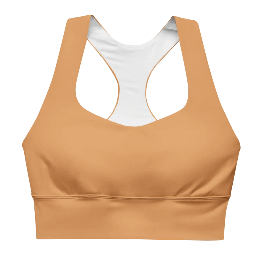 Capricorn Hues Recycled Longline Sports Bra product image (1)