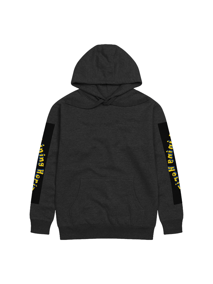 Shining Hoodie product image (4)