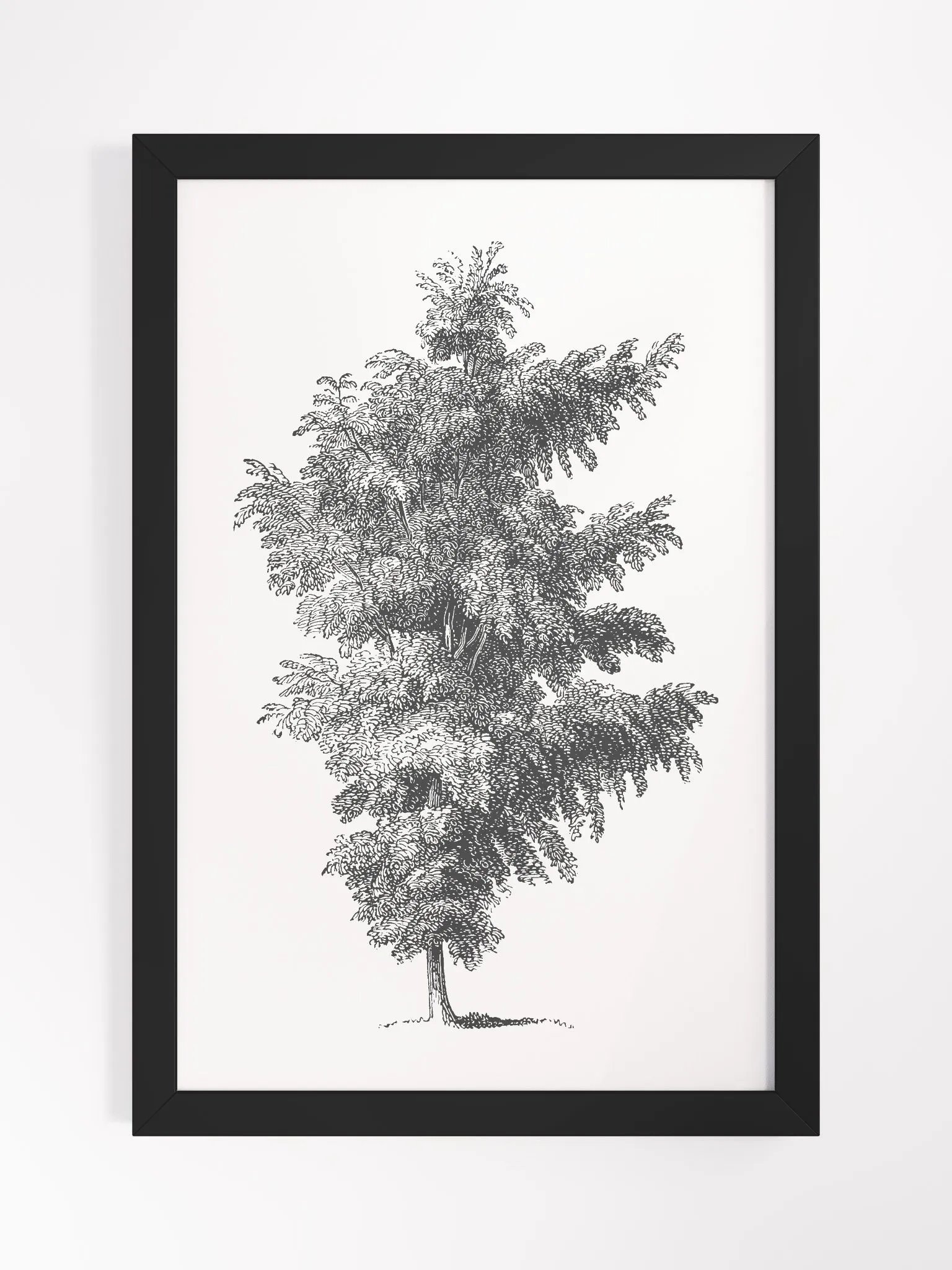 Woodland Trees #1 Framed Print product image (1)