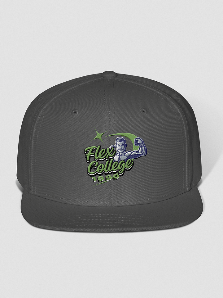 Flex College 1990 Snapback Cap product image (5)