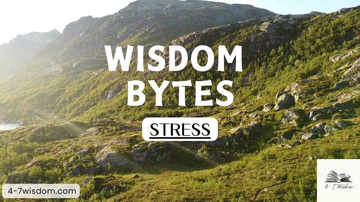 Wisdom Bytes: Stress product image (1)