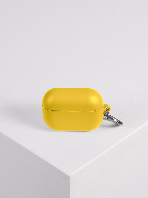 Photo showing AirPods Case