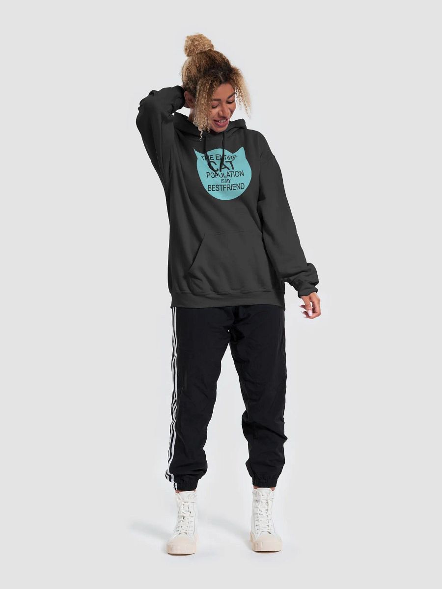 Cat population friend - hoodie product image (49)