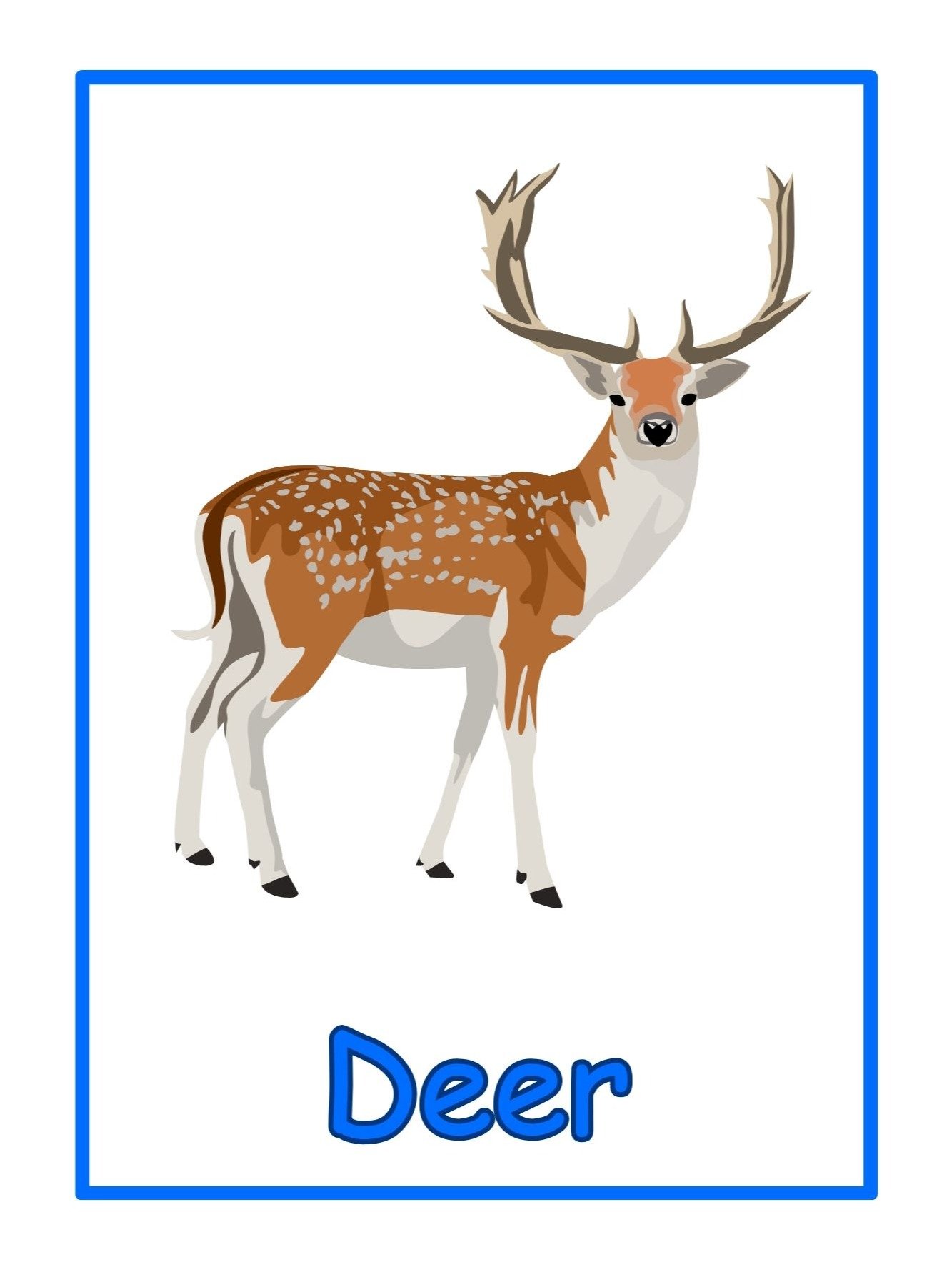 Animal Vocabulary Flashcards product image (6)