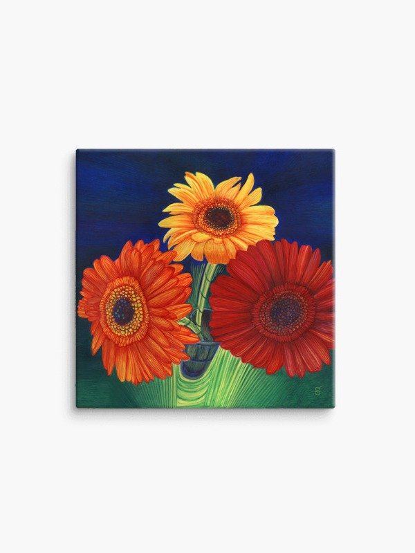 Blank Canvas Collection - Bright Gerberas product image (5)