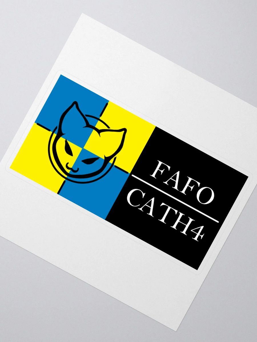 Cath4FAFO product image (2)