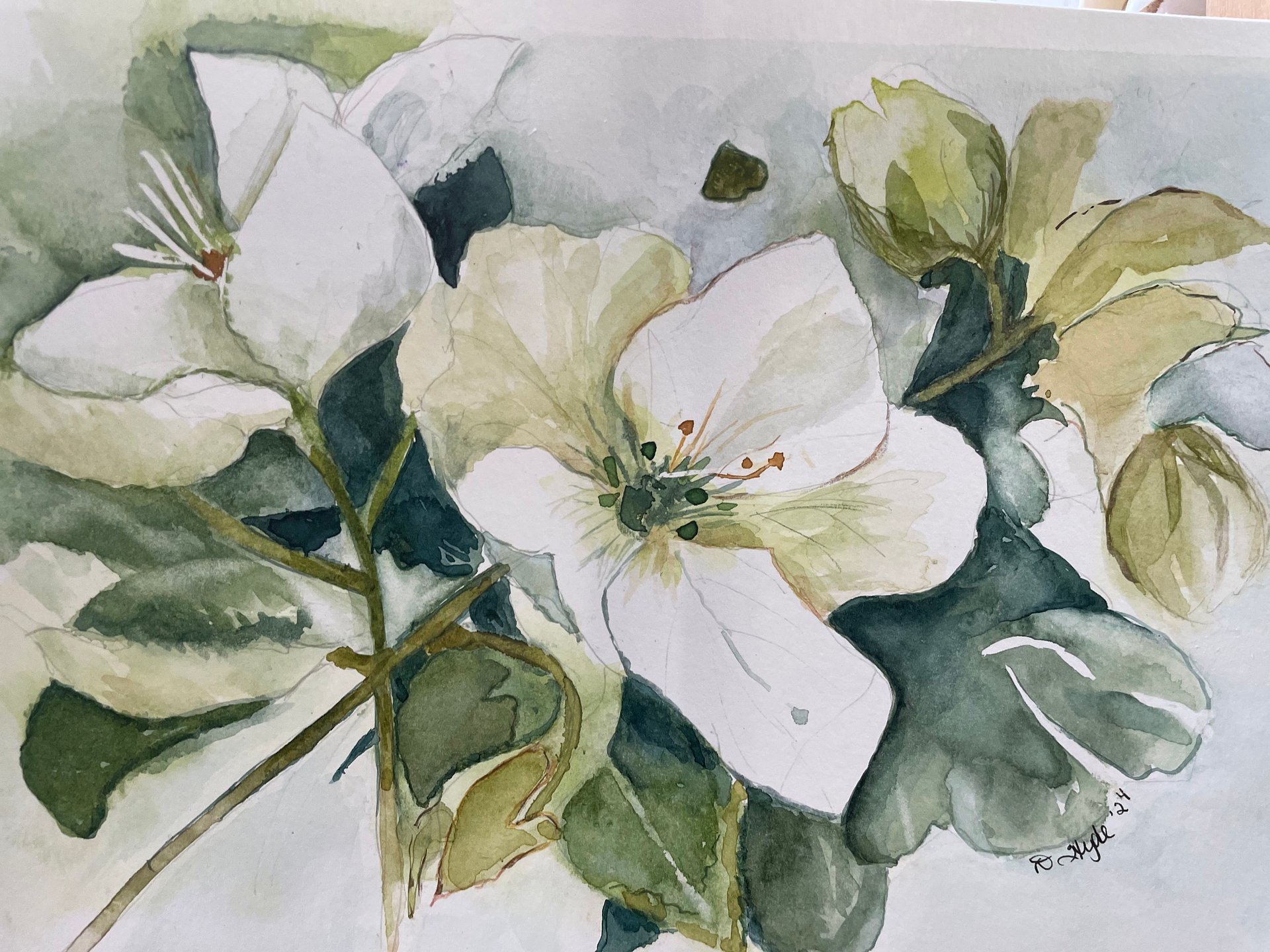 Christmas Roses (Print Only - Original Sold) product image (1)