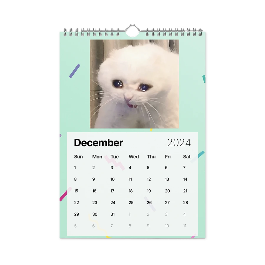 Wall Calendar (2024): Meme Cats product image (6)