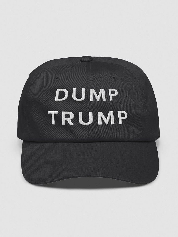 Bold Protest Dad Hat - DUMP TRUMP product image (3)