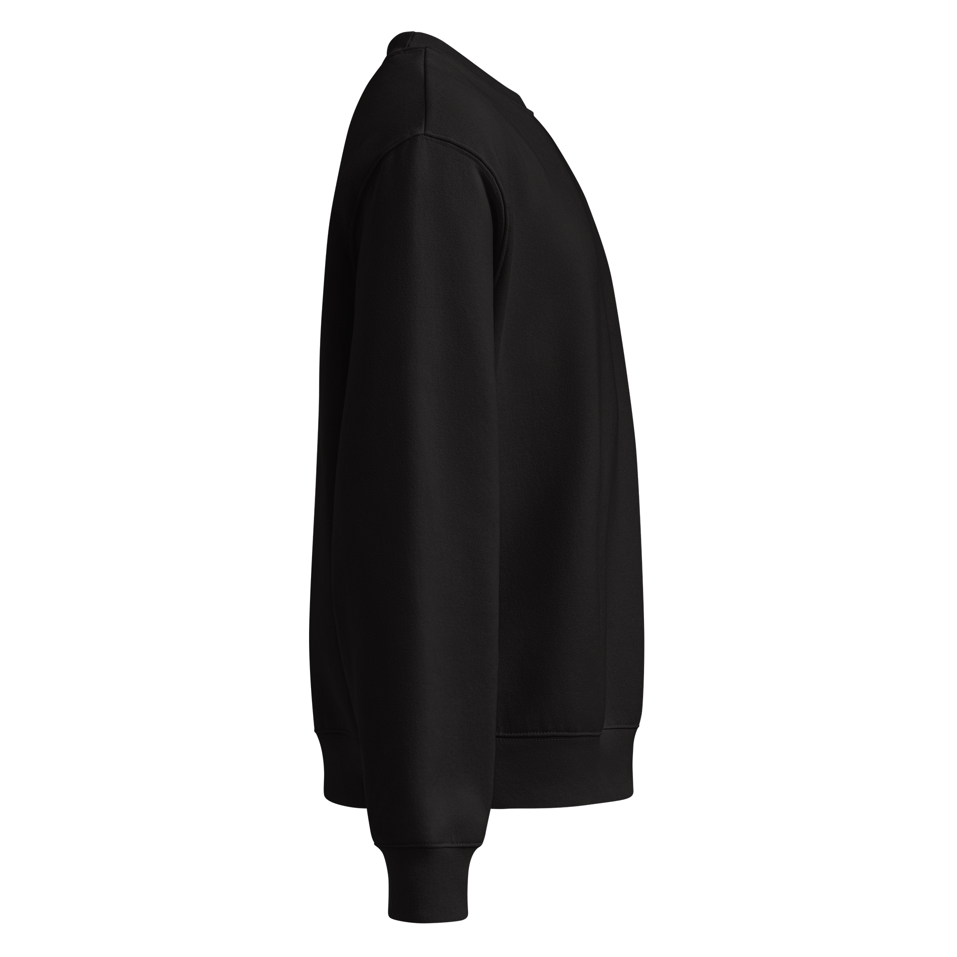 CS Oversized Heavyweight Sweatshirt product image (8)