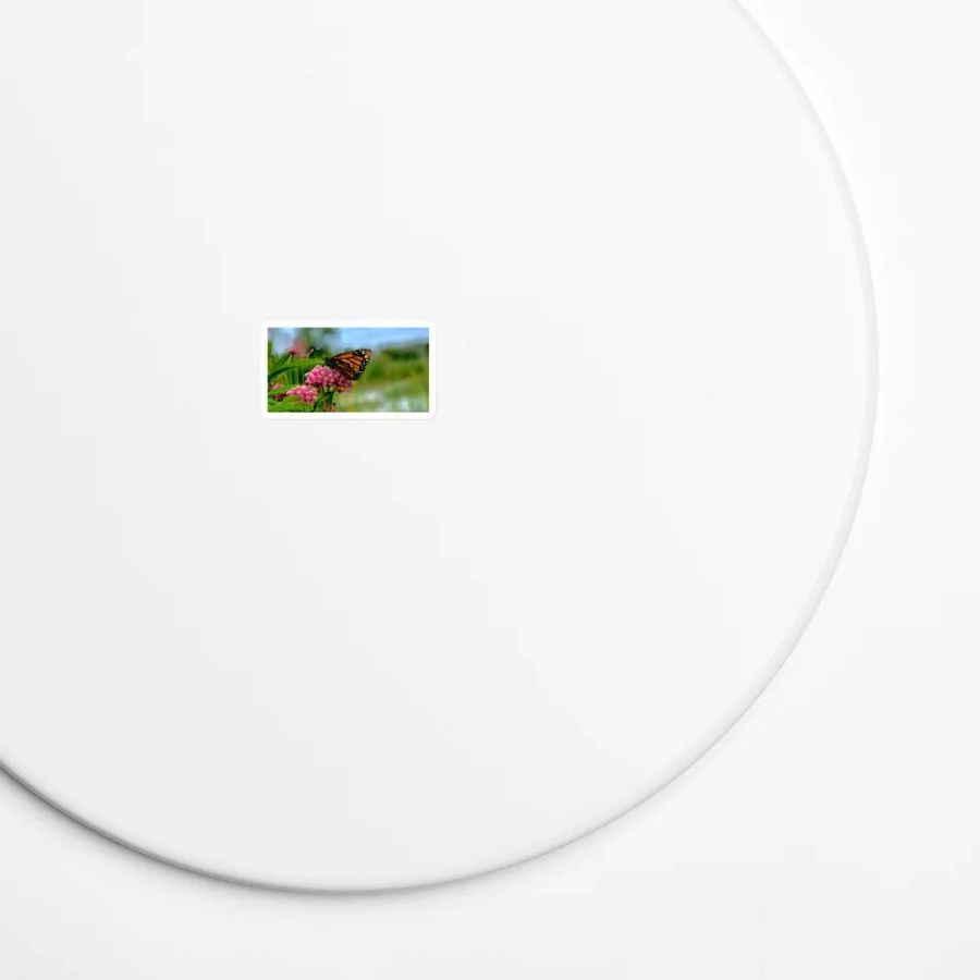 Nature Monarch Butterfly Die-Cut Magnet product image (5)