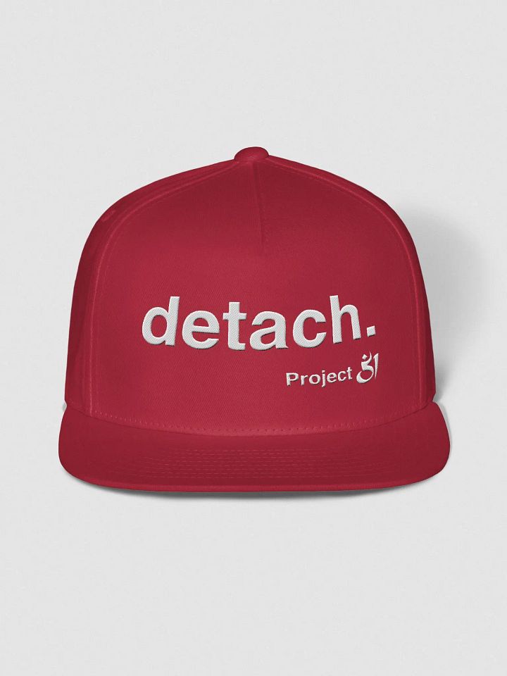 detach. snapback product image (1)