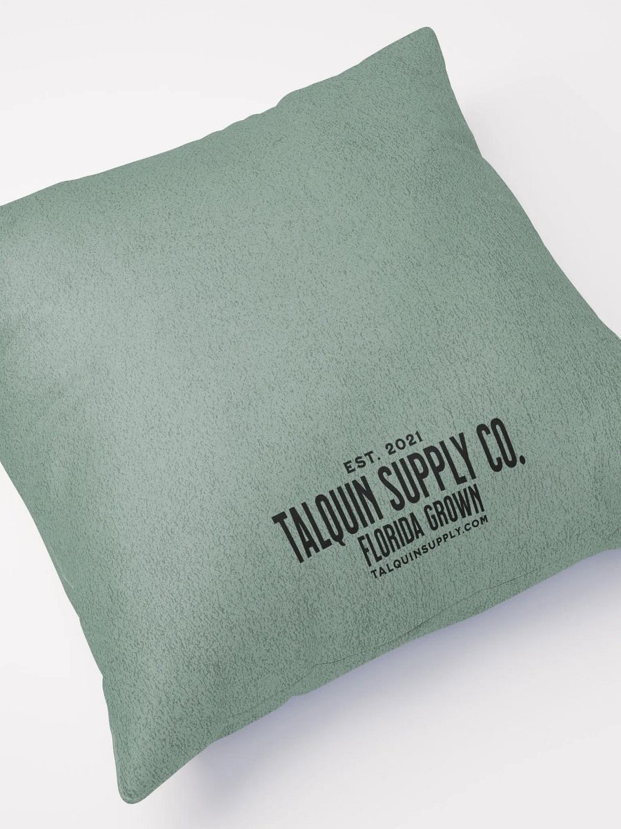 The Lake House Pillow product image (5)