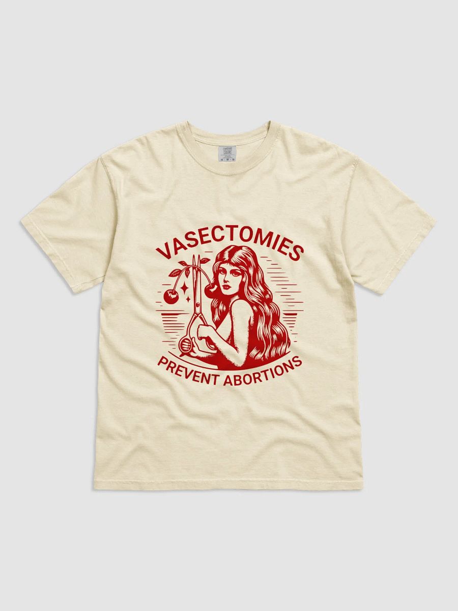 Vasectomies Prevent Abortions T-SHIRT product image (1)