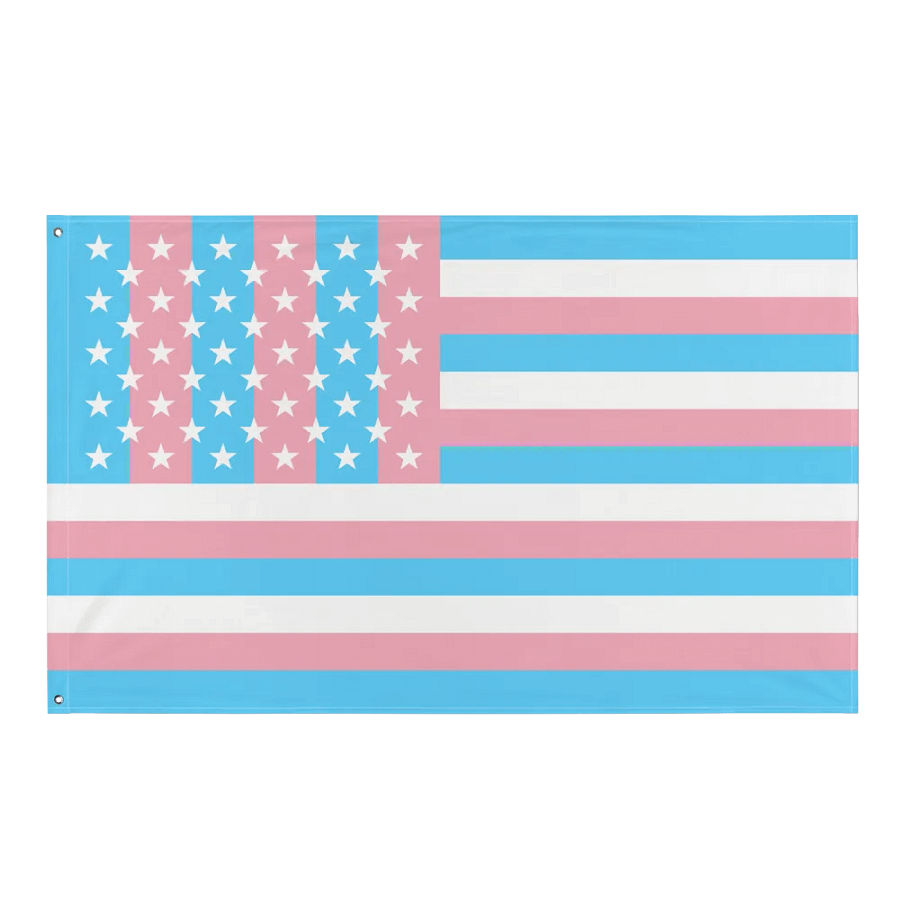 USA Trans Pride Flag product image (1)