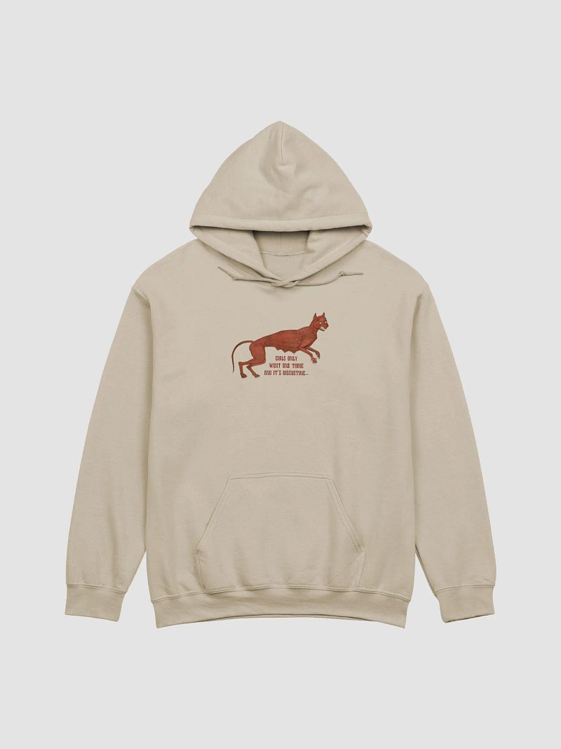 'Girls Only Want One Thing And It's Disgusting...' Hoodie (9 colour options available)