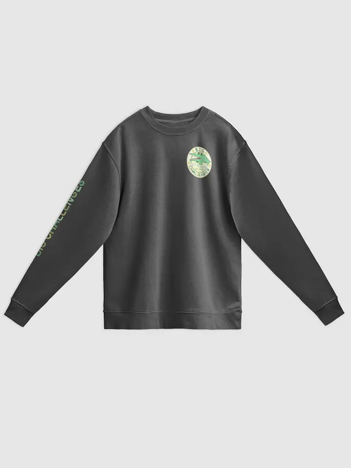 Lil Big Challenges Crewneck product image (1)