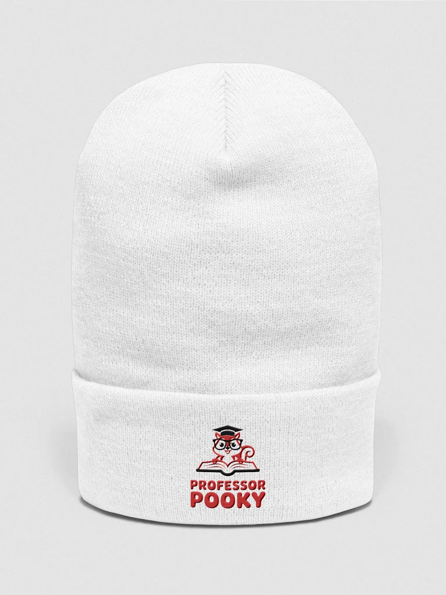 Professor Pooky Cuffed Beanie product image (1)