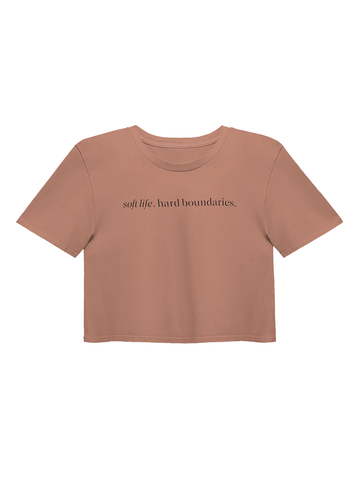 soft life. hard boundaries. screen print crop. product image (1)