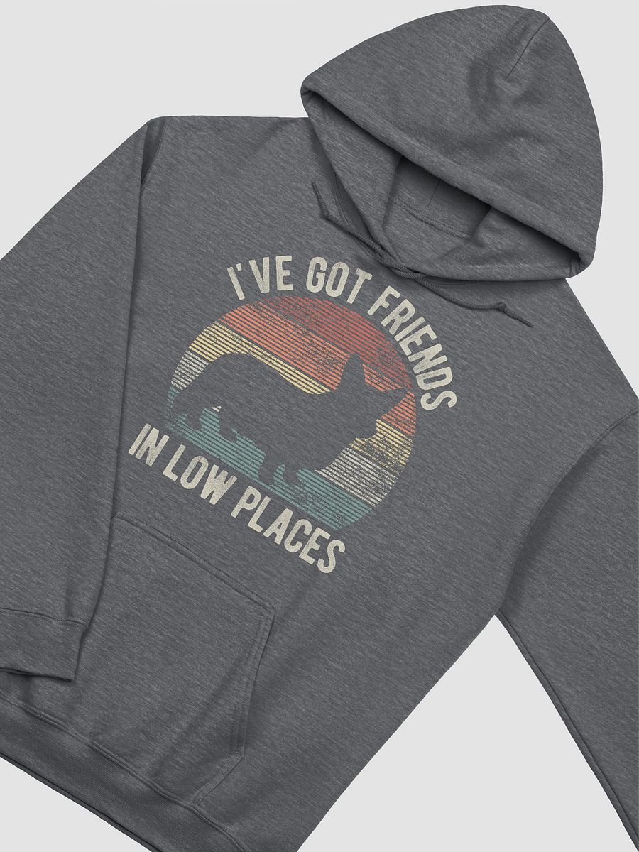 I've Got Friends in Low Places Cardigan Welsh Corgi Hooded Sweatshirt | Funny Hoodie for Corgi Paw-rents product image (19)