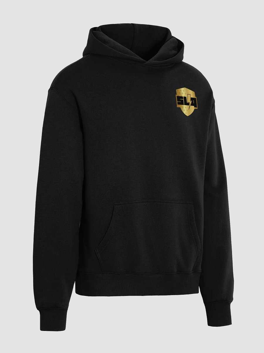Hoodie SLQ Noir product image (4)