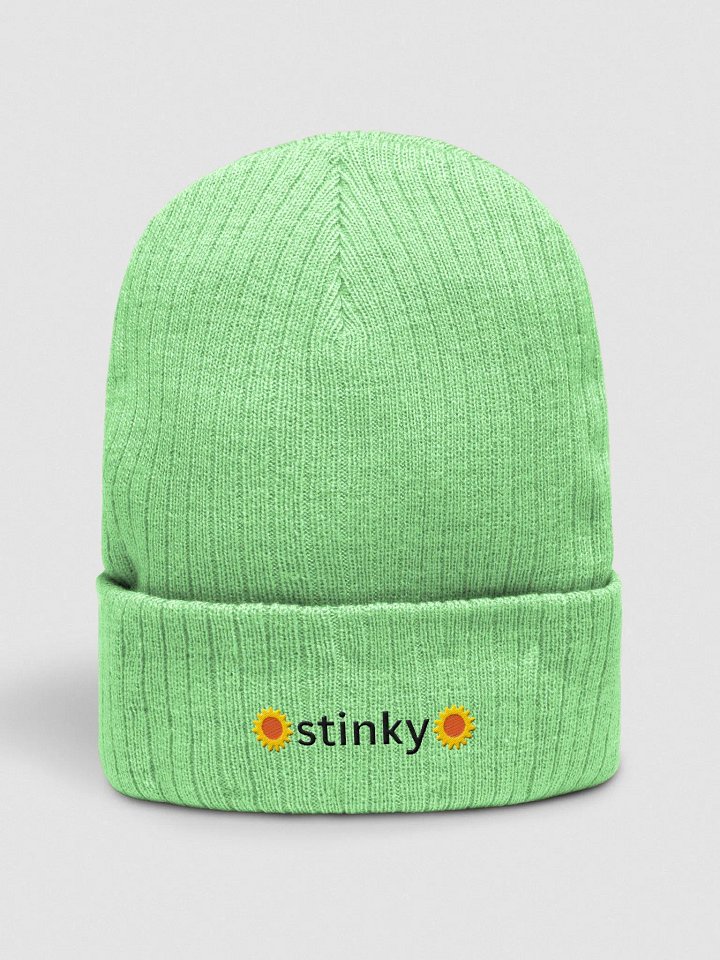 stinky ribbed beanie hat product image (1)