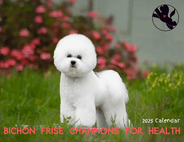 2025 Bichons for Health Calendar product image (1)