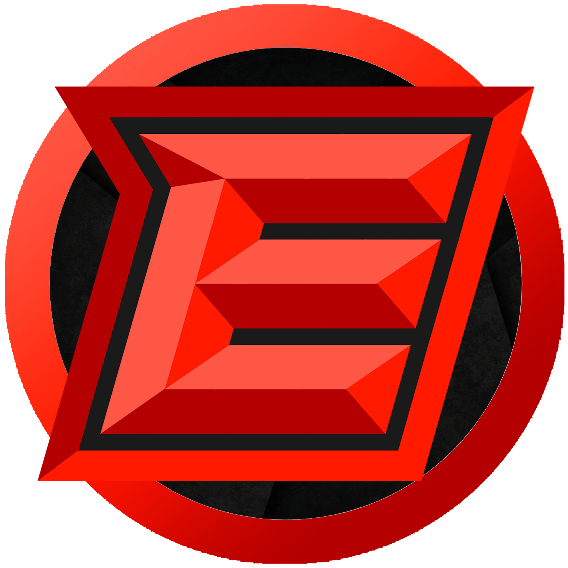 eRize Logo product image (1)