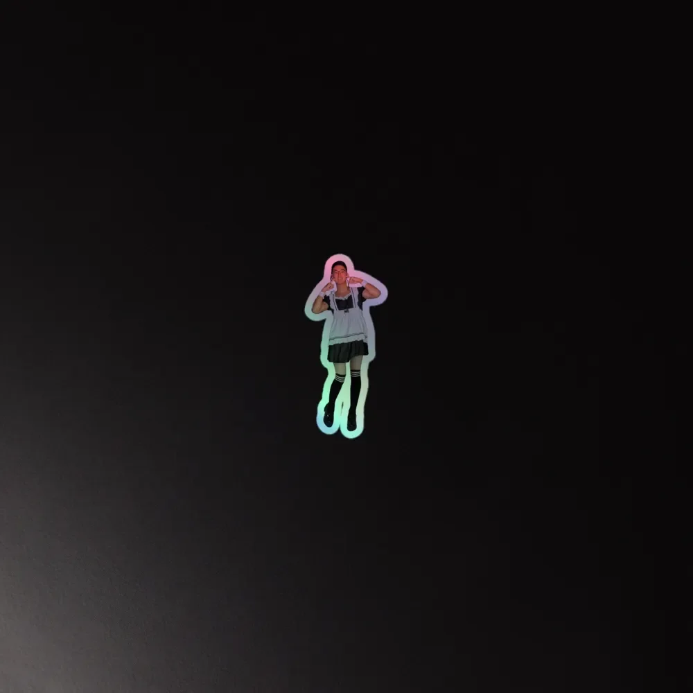 Boommaid HOLOGRAPHIC Sticker product image (4)