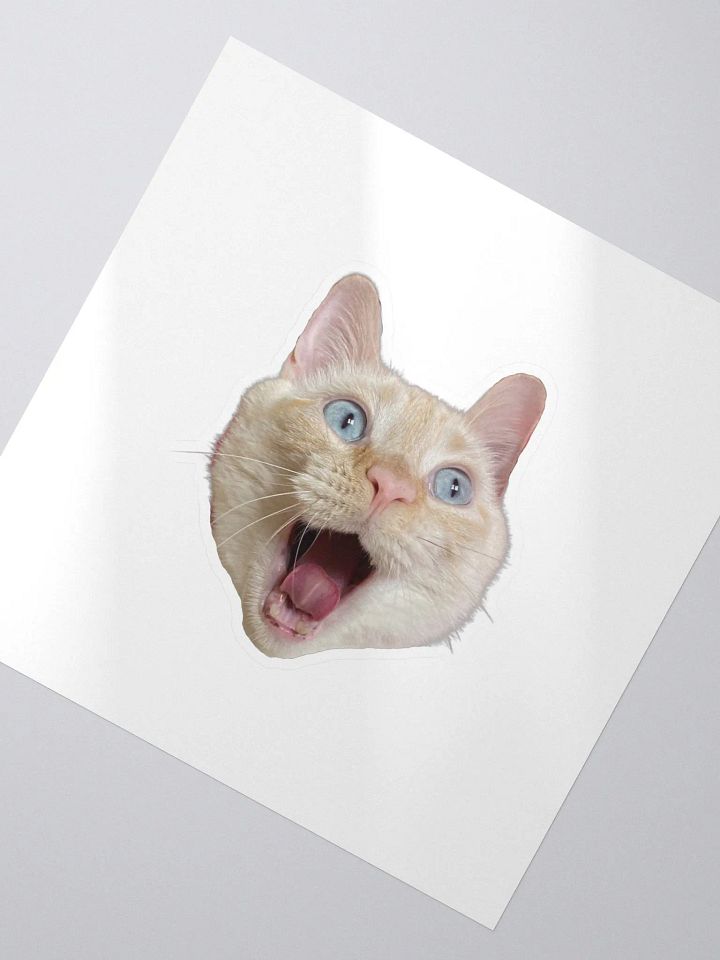 Happy Muenster Sticker product image (2)