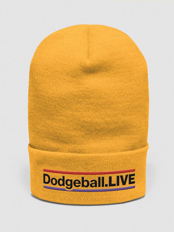Dodgeball.LIVE HZ Beanie/Toque (Dark) product image (2)